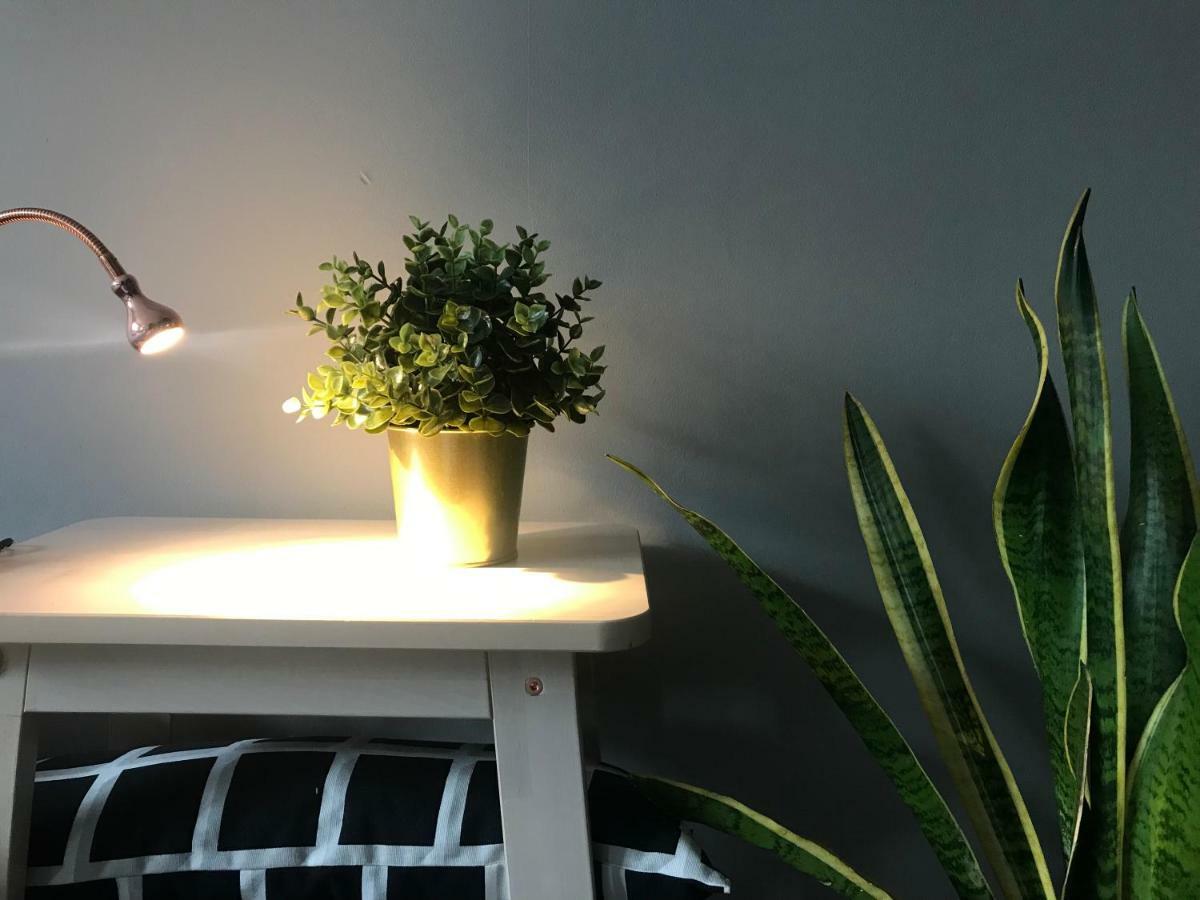 Apartament Centrum Zielona Góra Eksteriør bilde